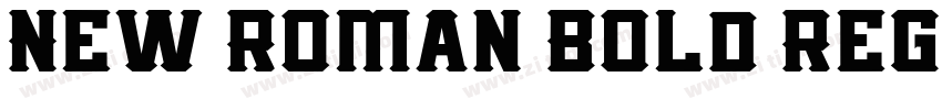 New Roman Bold Regul字体转换